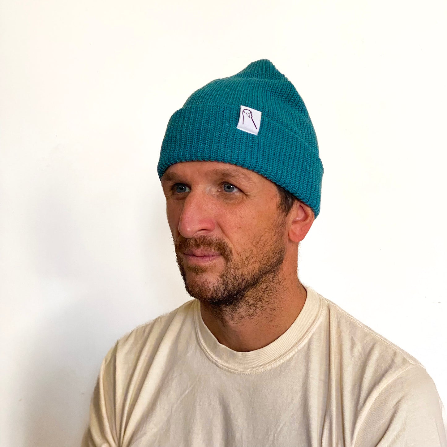 downstate watchcap