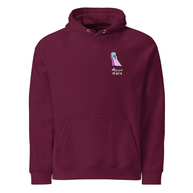 downstate pigeon embroidered hoodie