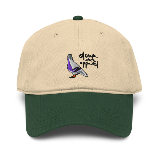 downstate baseball cap