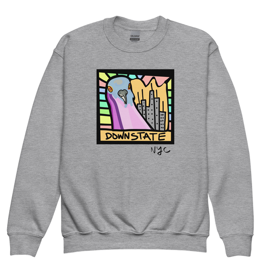 downstate cityscape youth crew neck sweatshirt